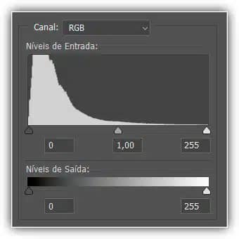 O histograma nos mostra que a maior parte da imagem é composta por tons mais escuros.