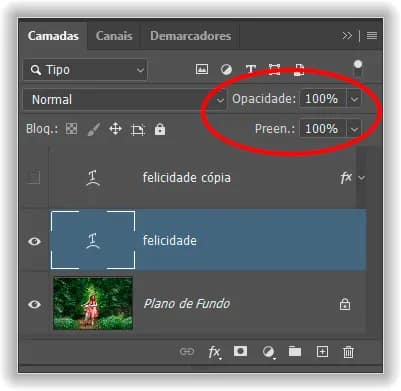As opções de Opacidade e Preenchimento, ambas definidas em 100%.