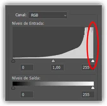 Um histograma mostrando muitas informações na extrema direita geralmente significa que os detalhes de destaque na imagem foram perdidos.
