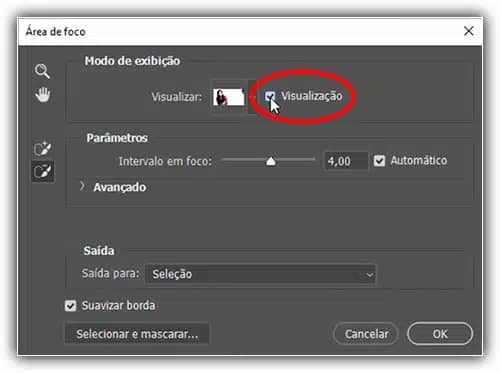 Verificando a opção Visualizar.