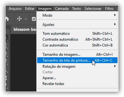 Virar, espelhar e girar designs e padrões de imagens no Photoshop