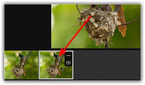 A tira de filme mostrando as imagens originais e ampliadas.