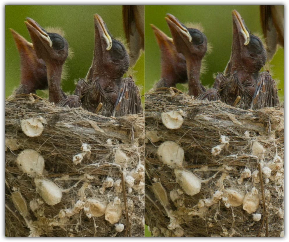 A imagem original (esquerda) e ampliada (direita).