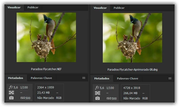 Uma comparação dos tamanhos dos arquivos entre a foto original (à esquerda) e a versão ampliada em Super Resolução (à direita).
