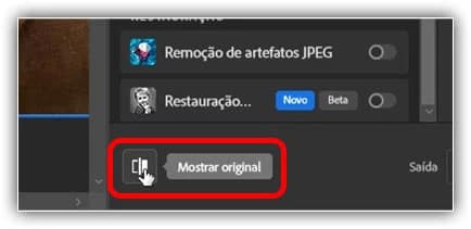 Clicando no ícone mostrar original.