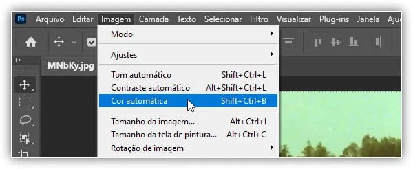 Indo para Imagem> Cor automática.