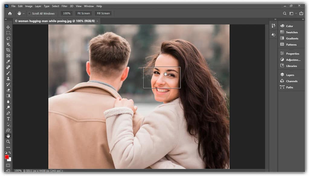 Segure H, clique e segura na imagem para diminuir o zoom e arraste o retângulo sobre uma área diferente.