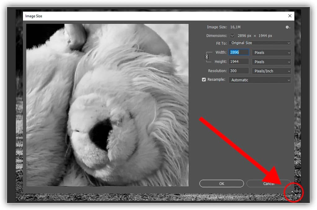 como-redimensionar-imagens-para-impressao-com-o-photoshop