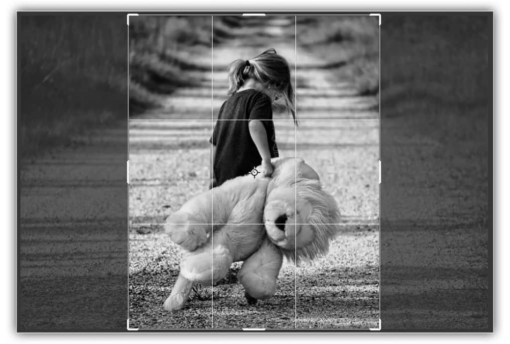 Cortando a imagem para a nova proporção.