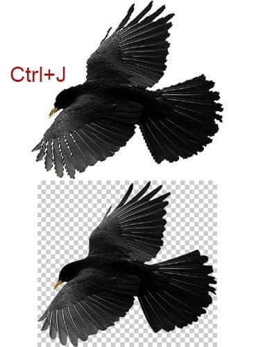 Pressione OK. Agora que temos toda a área branca selecionada