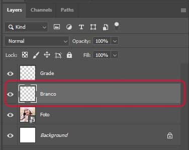 O painel Camadas mostrando a nova camada Branca