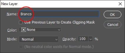 Nova camada nomeada como Branco