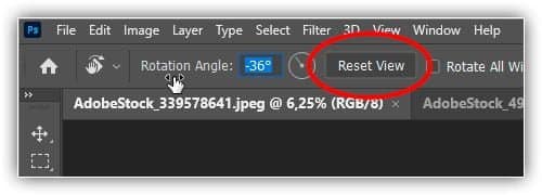 Clique no botão "Redefinir visualização" na Barra de opções para redefinir o ângulo.