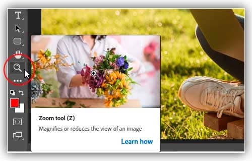 Pixels tamanho da imagem e resolução