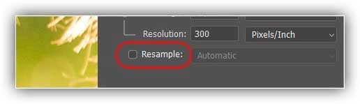 Desmarcando a opção Resample.