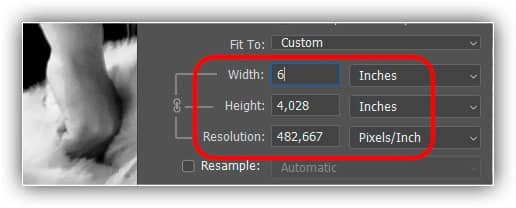 Inserir um valor de Largura define automaticamente o valor de Altura.