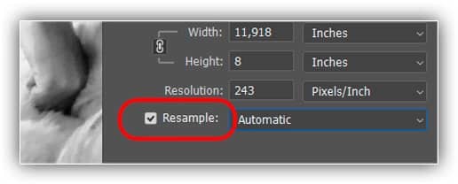Clicar na caixa de seleção Reamostrar.