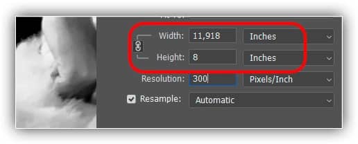 Alterar a resolução não teve efeito na largura e na altura.
