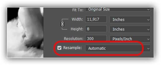 A opção Interpolação. Disponível apenas quando Resample está marcado.