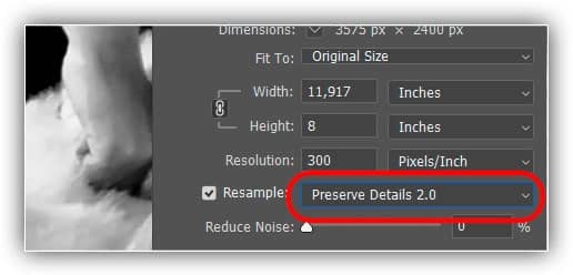 No entanto, no Photoshop CC 2018, a Adobe adicionou um novo método de upscaling conhecido como Preserve Details 2.0.