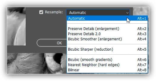 Os métodos de interpolação.