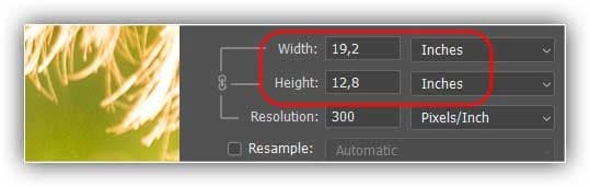 As medidas de Largura e Altura agora são mostradas em polegadas em vez de pixels.