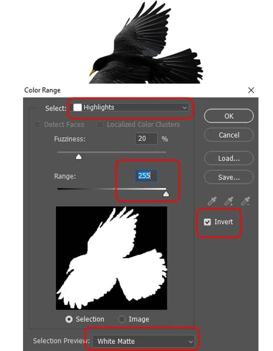 Abra a imagem do corvo.