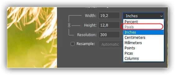 Desativar a reamostragem nos impede de adicionar ou remover pixels.