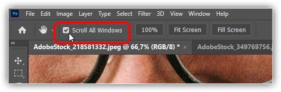 Use "Rolar todas as janelas" para alterar o comportamento padrão da ferramenta Mão.